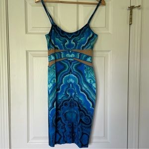 Torn by Ronny Kobo dress small